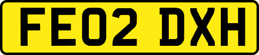 FE02DXH