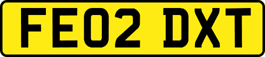 FE02DXT