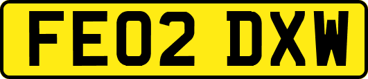 FE02DXW