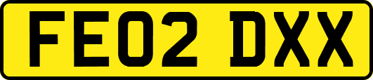 FE02DXX