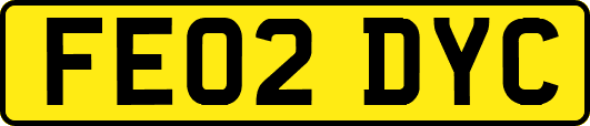 FE02DYC
