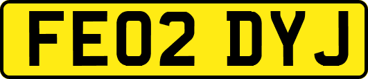 FE02DYJ