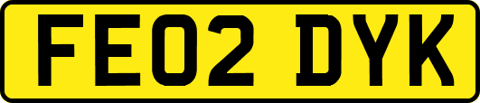 FE02DYK