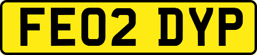 FE02DYP