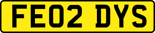 FE02DYS