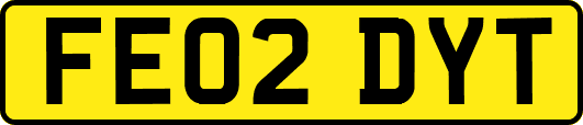 FE02DYT