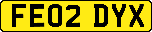 FE02DYX
