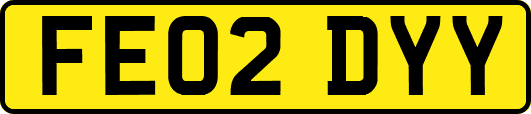 FE02DYY