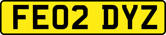 FE02DYZ
