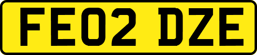 FE02DZE
