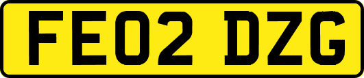 FE02DZG