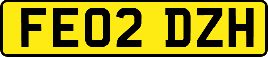 FE02DZH