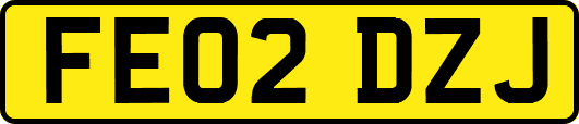 FE02DZJ