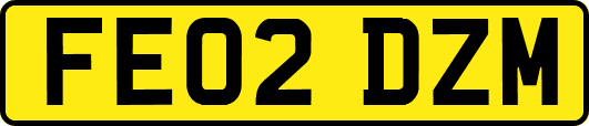 FE02DZM