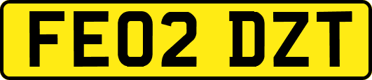 FE02DZT