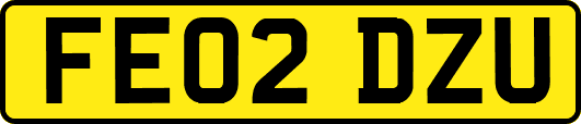FE02DZU