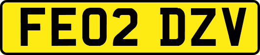 FE02DZV