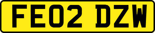 FE02DZW