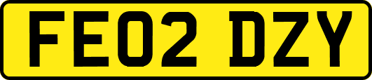 FE02DZY