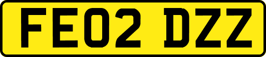 FE02DZZ