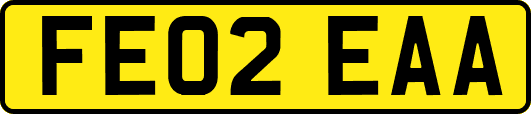 FE02EAA