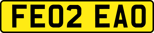 FE02EAO