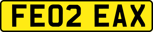 FE02EAX