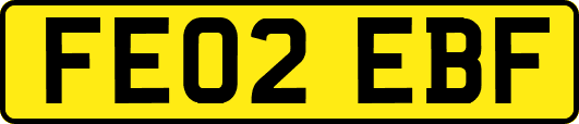FE02EBF