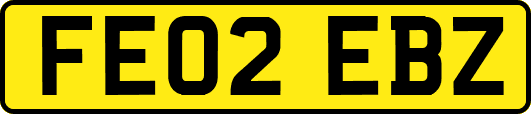 FE02EBZ
