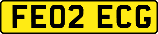 FE02ECG