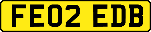 FE02EDB
