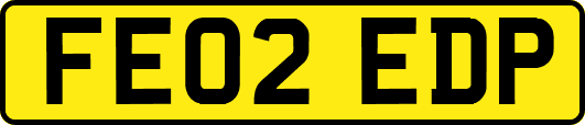 FE02EDP