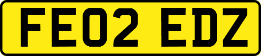 FE02EDZ