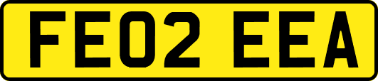 FE02EEA