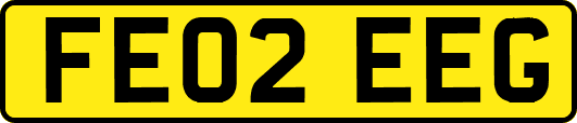 FE02EEG