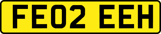 FE02EEH