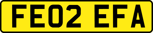 FE02EFA
