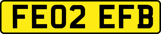 FE02EFB