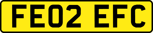 FE02EFC