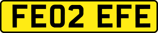 FE02EFE