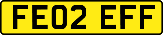 FE02EFF