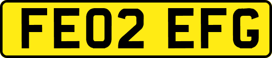 FE02EFG