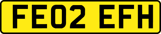 FE02EFH