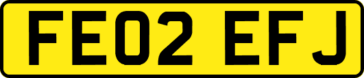 FE02EFJ