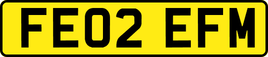 FE02EFM
