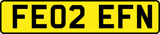 FE02EFN