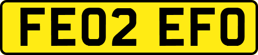 FE02EFO