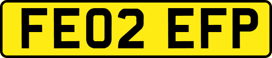 FE02EFP