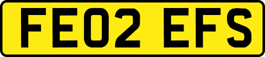FE02EFS