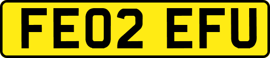 FE02EFU